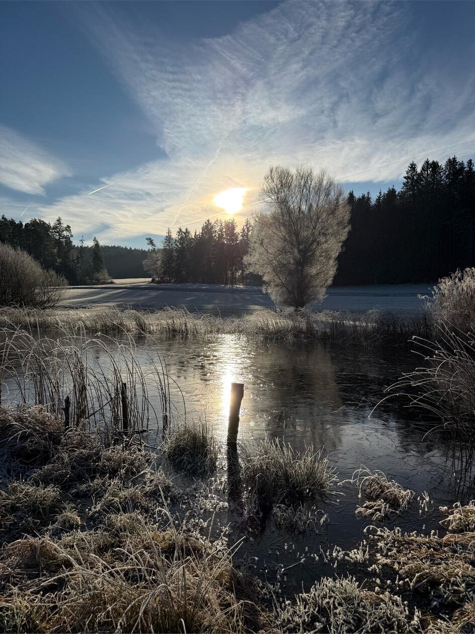 Wundervoller Blick über den Igelsee bei Grünreuth.