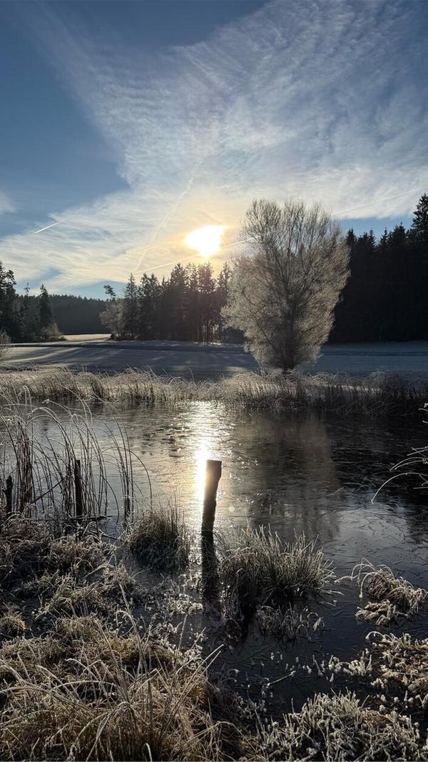 Wundervoller Blick über den Igelsee bei Grünreuth.
