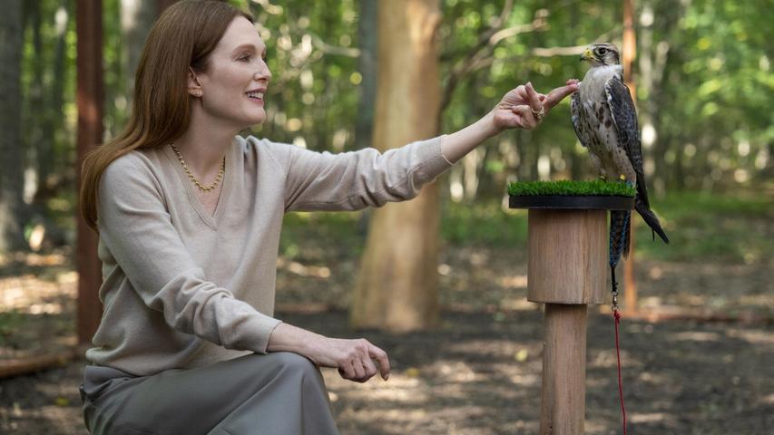 Die Dark Comedy „Sirens“ mit Julianne Moore läuft ab 22. Mai bei Netflix. Cr. Macall Polay/Netflix © 2025 Die Dark Comedy „Sirens“ mit Julianne Moore läuft ab 22. Mai bei Netflix. Cr. Macall Polay/Netflix © 2025