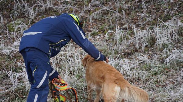 WhatsApp Image 2025-01-01 at 12.41