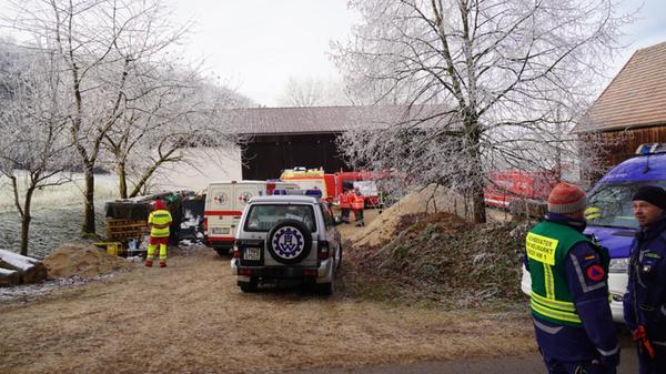 WhatsApp Image 2025-01-01 at 12.41