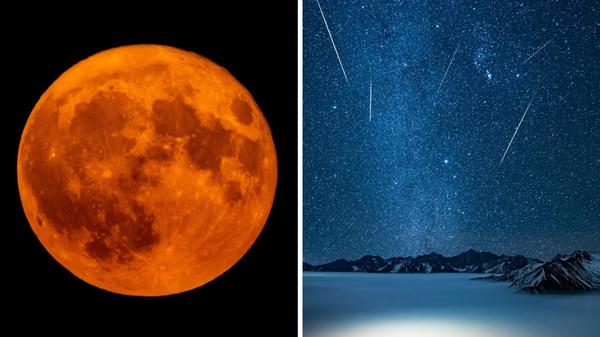 2025-01-02_11-08_collage