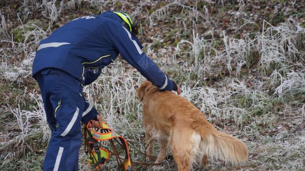 WhatsApp Image 2025-01-01 at 12.41