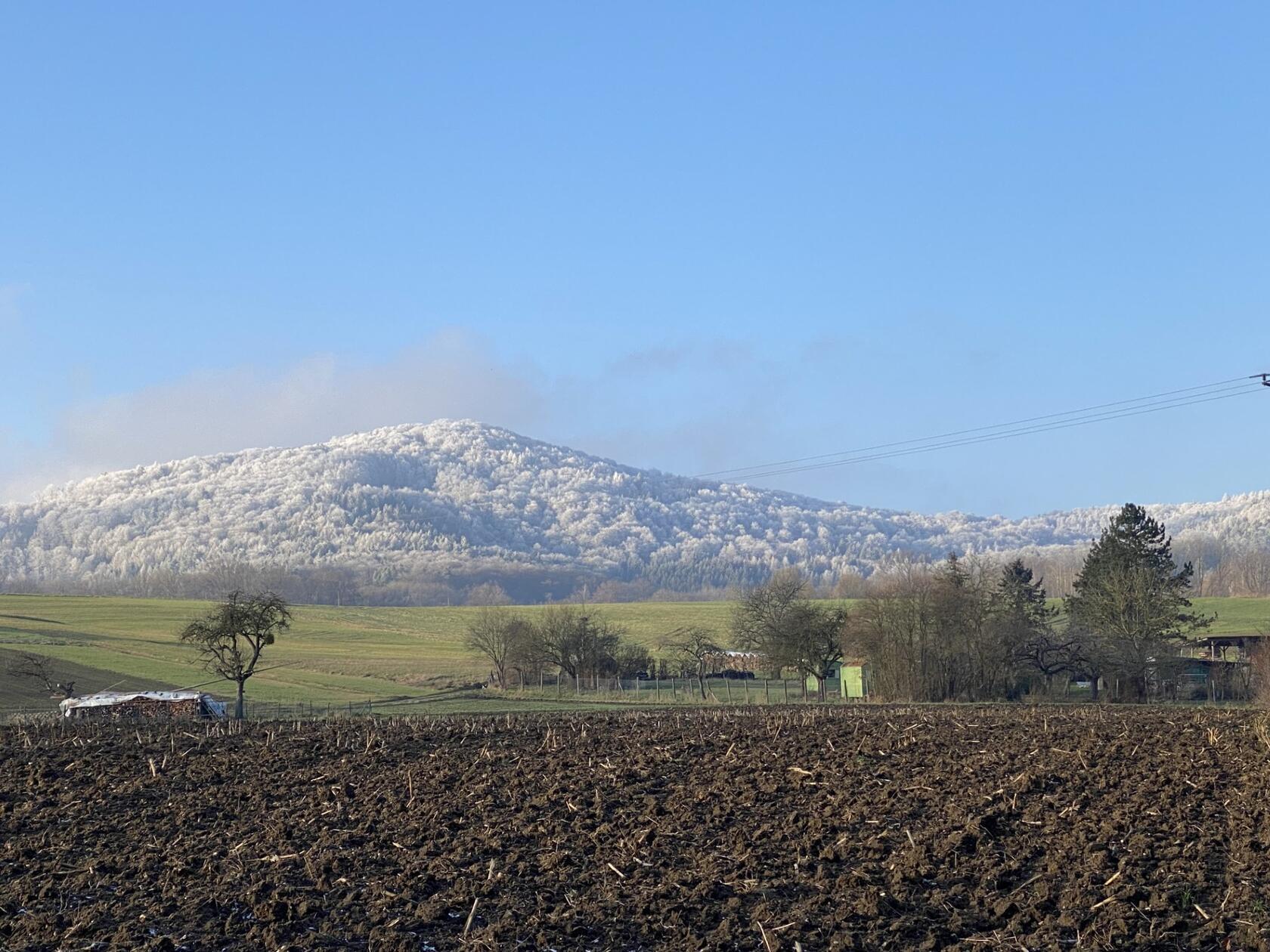 Winterlicher Hansgörgl bei Reichenschwand.