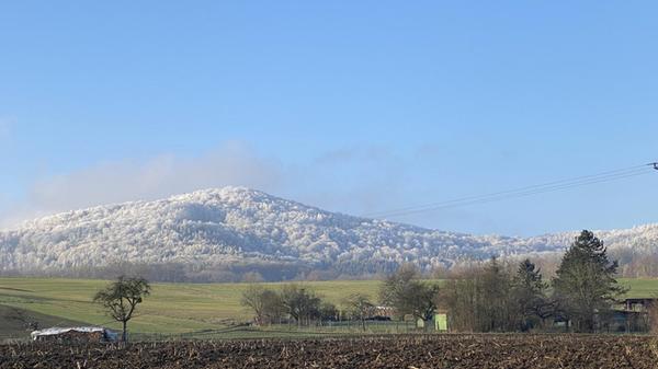 Winterlicher Hansgörgl bei Reichenschwand.