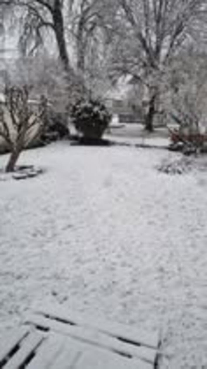 Auch in der Nähe von Neustadt an der Aisch hat es ordentlich geschneit.