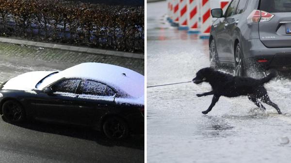 2025-01-03_11-52_collage