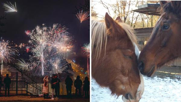 2025-01-07_17-24_collage (1)