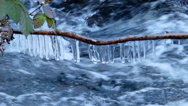 "Eiszapfen wie Orgelpfeifen am Happurger Bach", beschreibt unsere Leserfotografin ihr Foto.