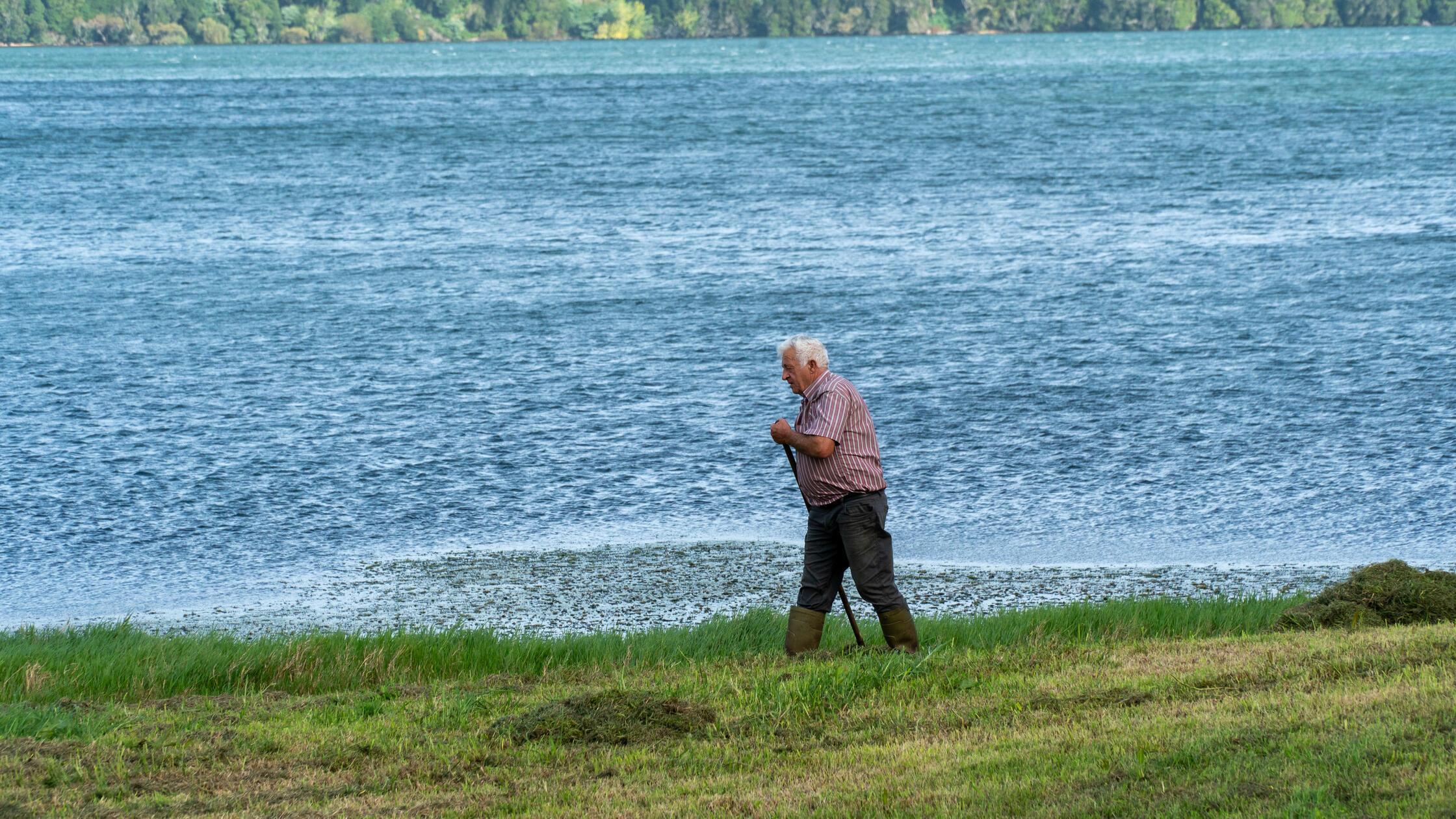 Wegen der milden Temperaturen spielt die Landwirtschaft auf den Azoren eine große Rolle. Nicht nur für Weidekühe herrschen hier selbst im Winter beste Bedingungen. Hier gedeihen sogar Tee und Ananas.