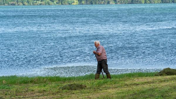 Wegen der milden Temperaturen spielt die Landwirtschaft auf den Azoren eine große Rolle. Nicht nur für Weidekühe herrschen hier selbst im Winter beste Bedingungen. Hier gedeihen sogar Tee und Ananas.