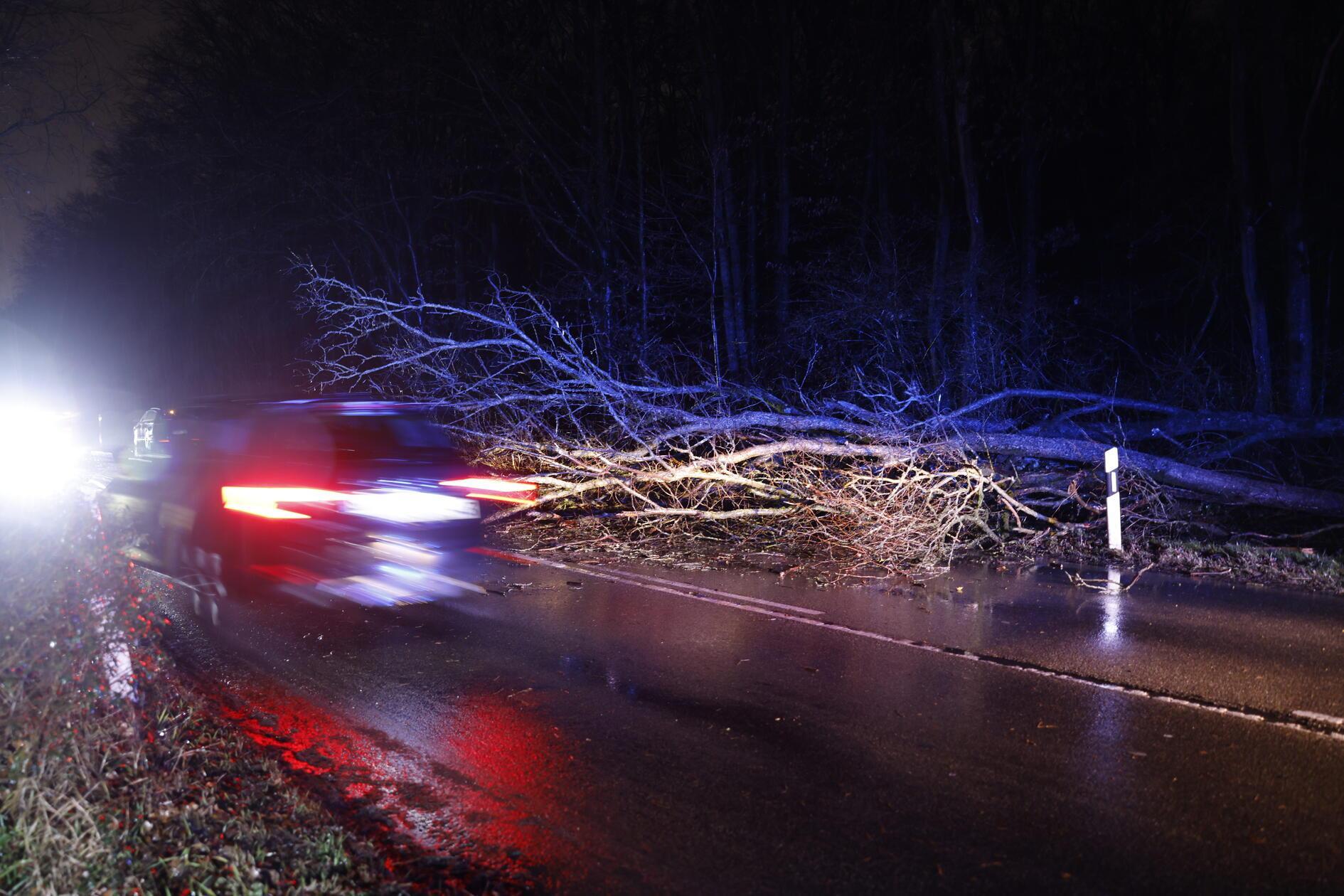 Im Landkreis Fürth stürzte durch den Wind ein Baum ein und blockierte eine Straße.