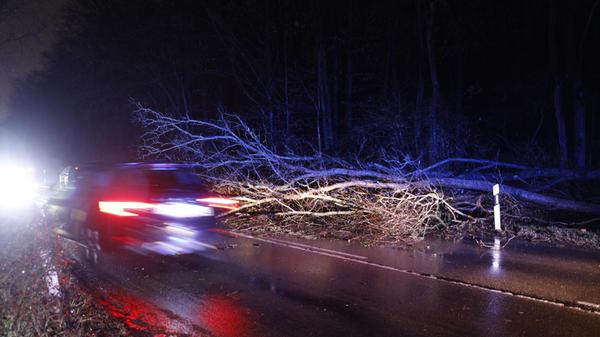 Im Landkreis Fürth stürzte durch den Wind ein Baum ein und blockierte eine Straße.