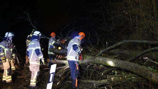 Am Abend waren mehrere Rettungskräfte im Einsatz, um den umgestürzten Bäumen Herr zu werden.