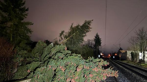 Außerdem kam es zu einem Einsatz an der Bahnstrecke zwischen Bamberg und Forchheim. Ein Baum stürzte hier auf den Gleisbereich, ein weiterer droht die Hochspannungsleitung zu beschädigen. Der Bahnverkehr auf dem betroffenen Gleis wurde aufgrund der bestehenden Gefahr vorübergehend eingestellt.