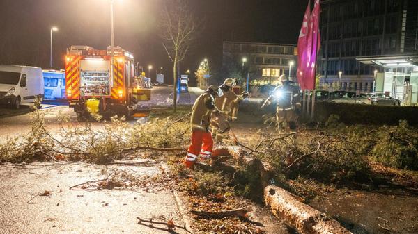 Der Sturm, der am Donnerstagabend über Bayern fegte, hat auch vor der Region nicht Halt gemacht.