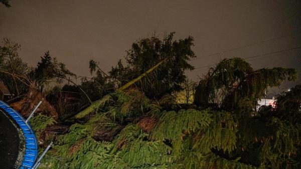 Auch im Landkreis Bamberg kam es zu Unwetterschäden.