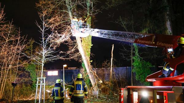 Erlangen, 09.01.2025, tha: Sturmschäden auch in Er