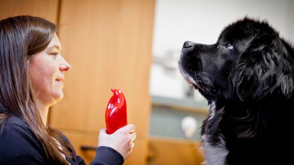 Tierheilpraktikerin Diana Reuber posiert mit der N