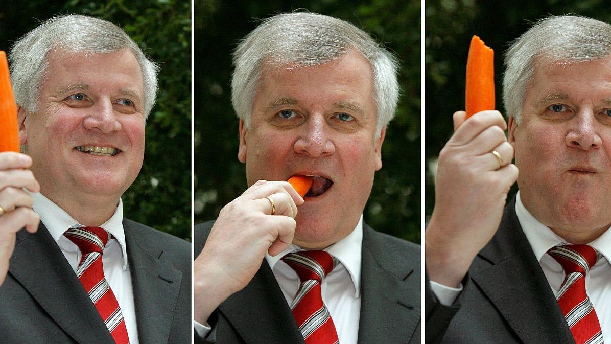 Innenminister Horst Seehofer macht es vor: Mit Karotten lässt sich intensives Kauen wunderbar trainieren.