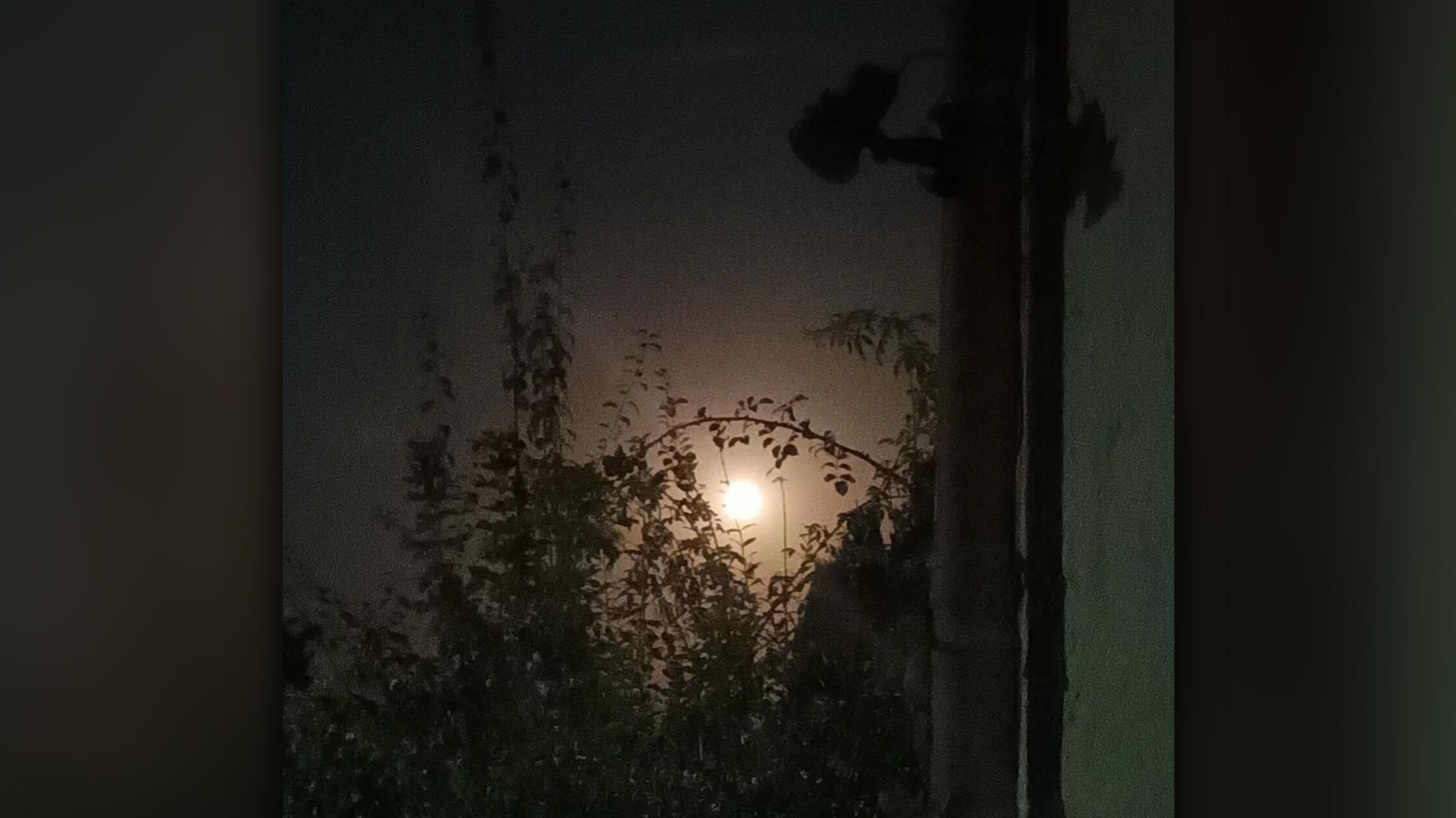 Der erste Vollmond des Jahres im Januar wird Wolfsmond genannt.