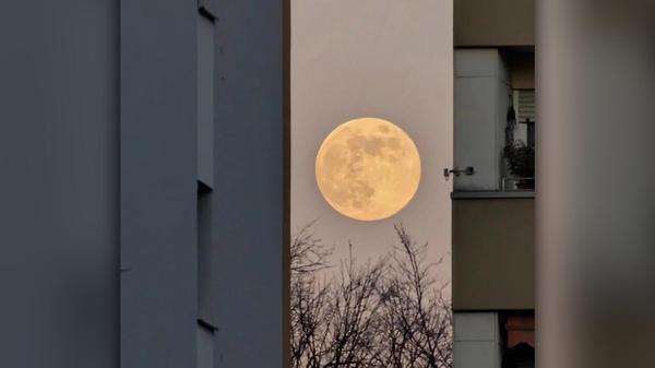 2025-01-14_17-51_bild_erweitern