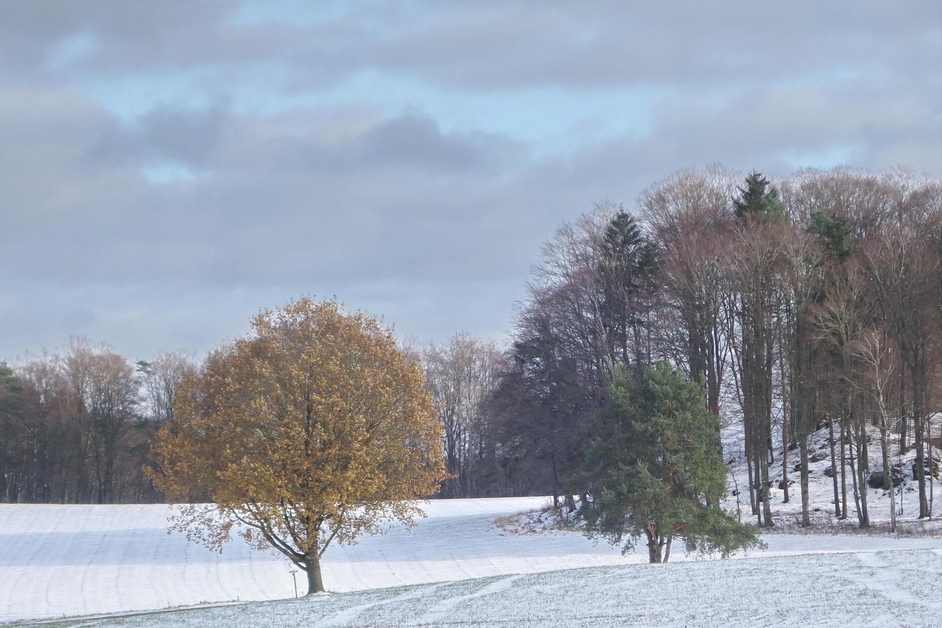Winterlandschaft bei Eichenstruth.