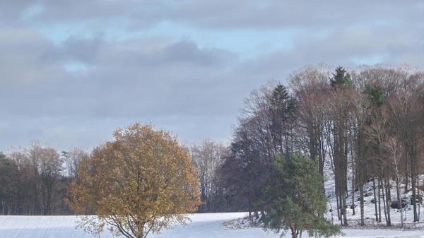 Winterlandschaft bei Eichenstruth.
