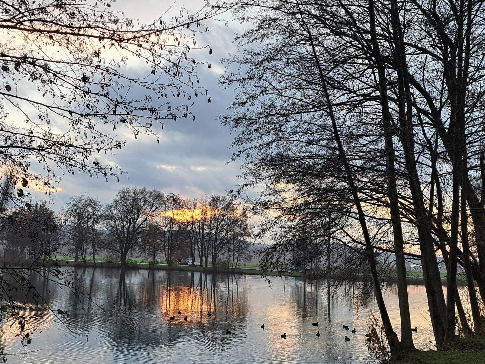 Novembersonnenuntergang am Baggersee in Happurg.