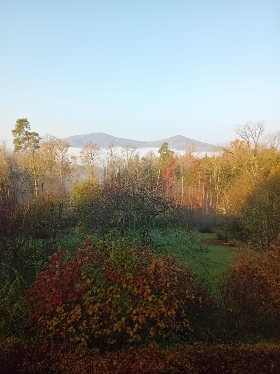 Blick vom Michelsberg aus Richtung Hansgörgl.