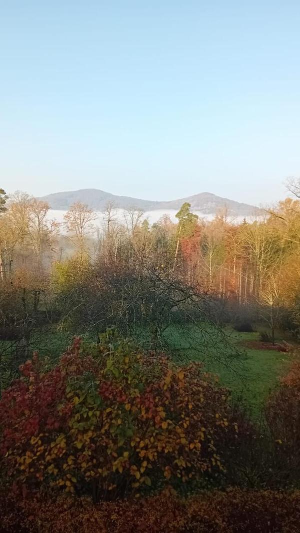 Blick vom Michelsberg aus Richtung Hansgörgl.