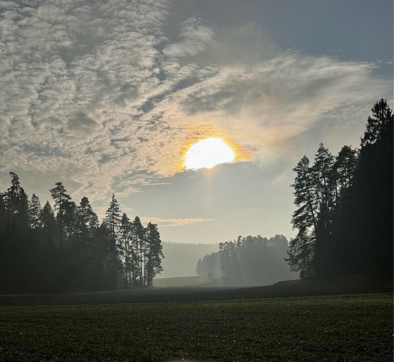 "Wenn sich die Sonne durch den Nebel kämpft und gewinnt: Ein wunderschöner Novembertag in der Nähe von Grünreuth", schreibt unsere Leserfotografin Christine Scherber.