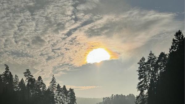 "Wenn sich die Sonne durch den Nebel kämpft und gewinnt: Ein wunderschöner Novembertag in der Nähe von Grünreuth", schreibt unsere Leserfotografin Christine Scherber.
