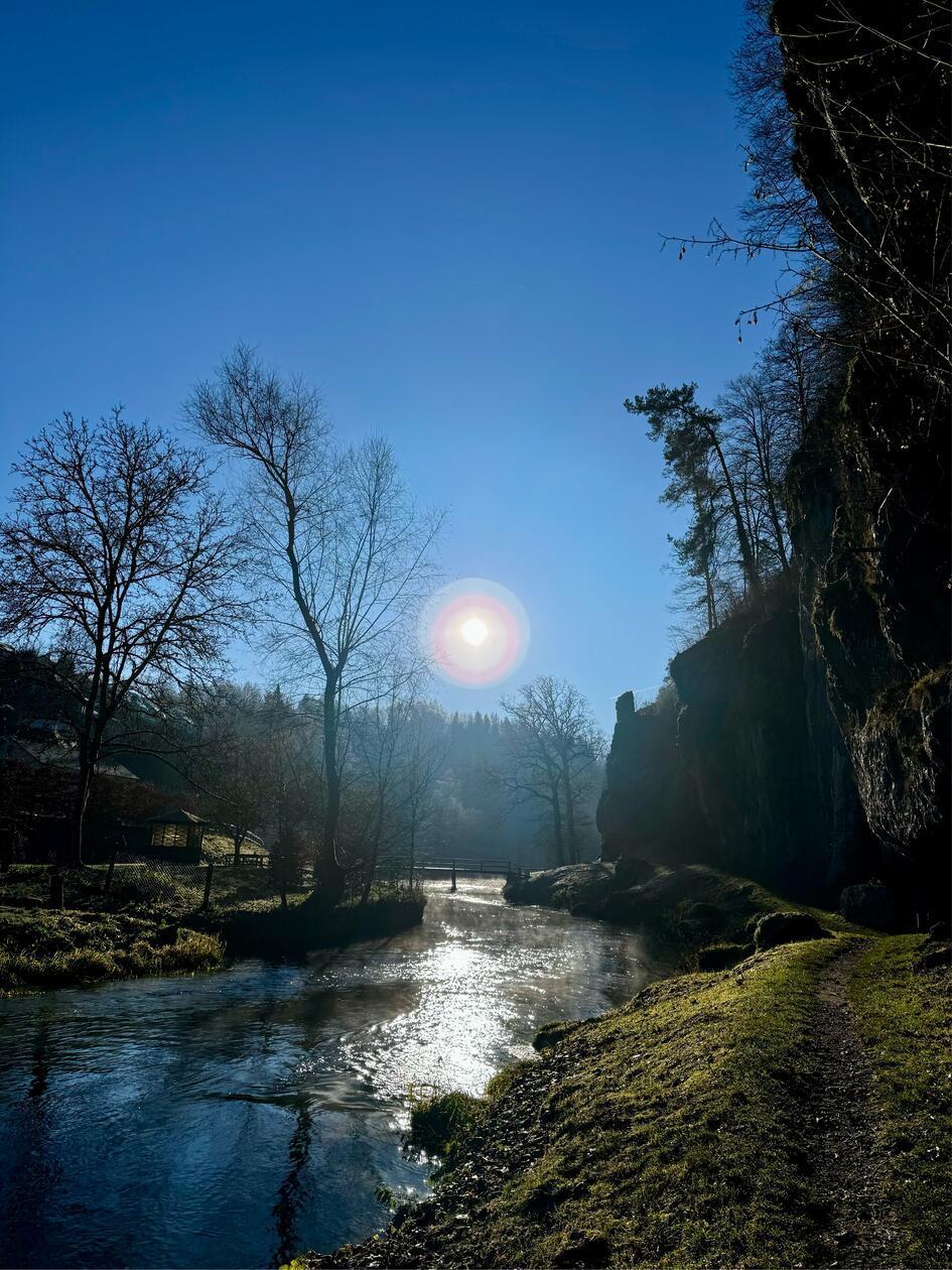 "Ein wunderschöner Tag beginnt - lasst ihn uns richtig nutzen!", schreibt unsere Leserfotografin Christine Scherber über ihr bei Velden aufgenommenes Foto.
