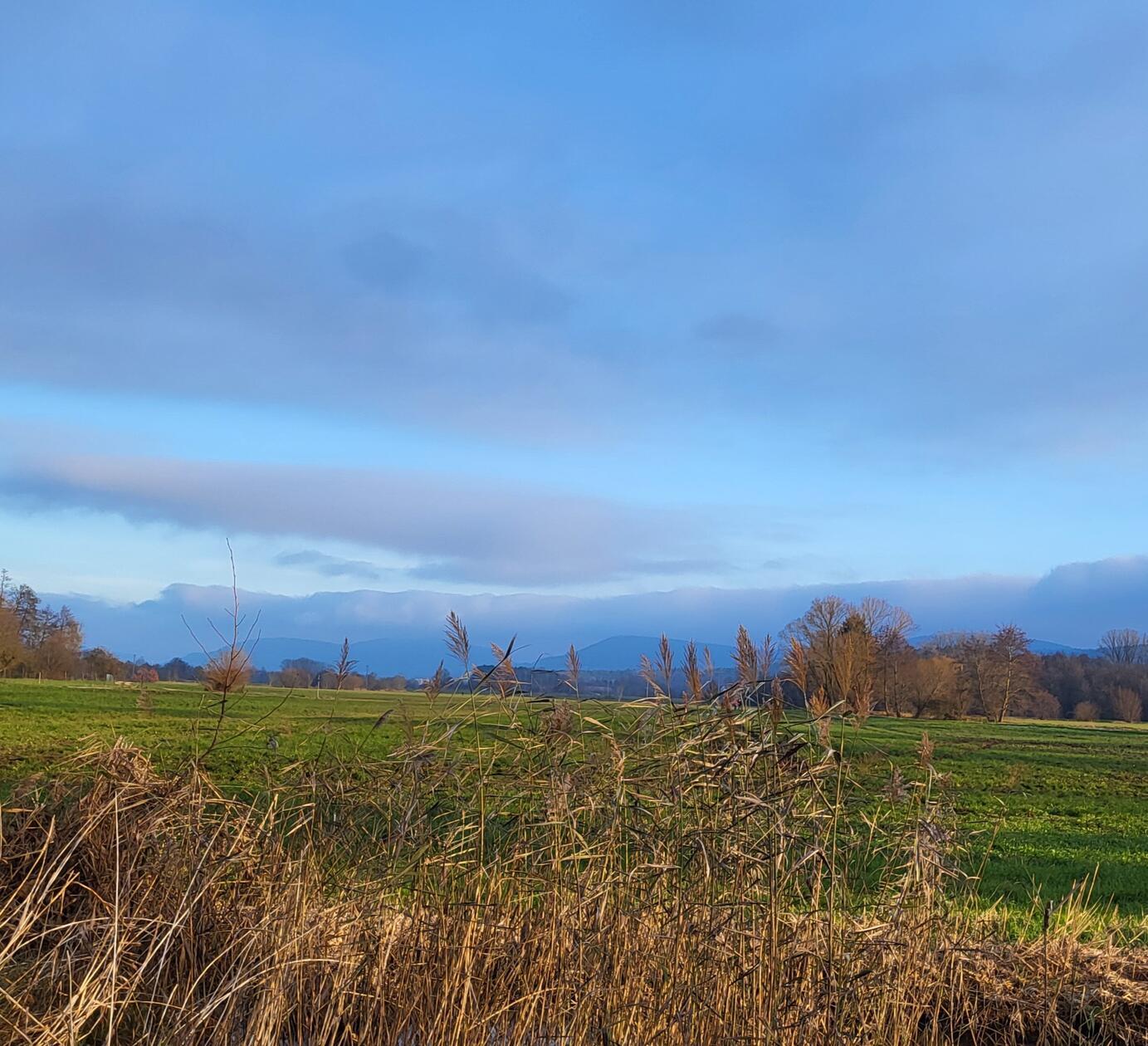 Ein sonniger, kalter Nachmittag bei Reichenschwand.