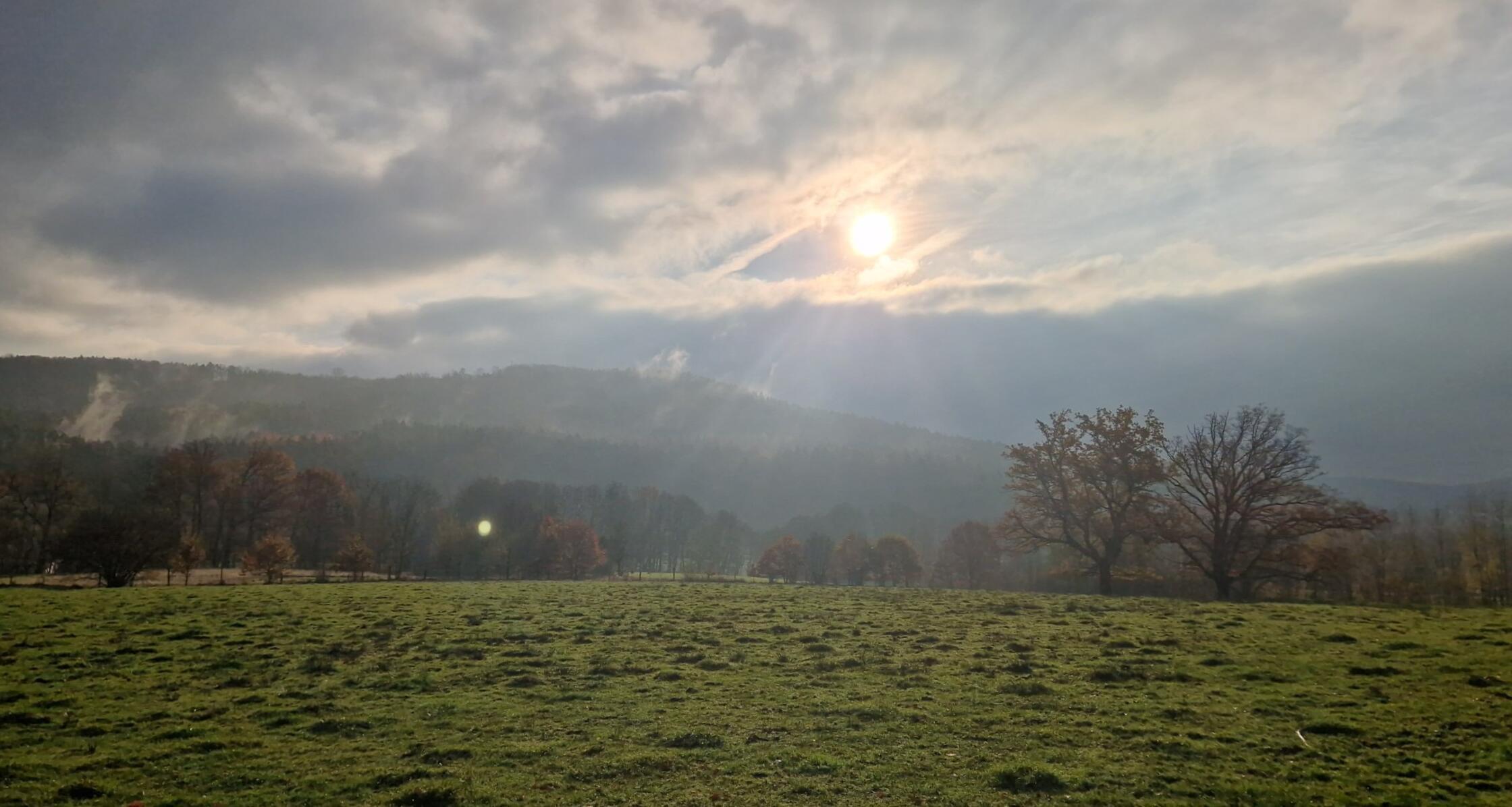 Morgens am Hutanger zwischen Unterkrumbach und Kühnhofen.