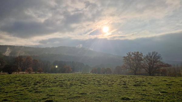 Morgens am Hutanger zwischen Unterkrumbach und Kühnhofen.