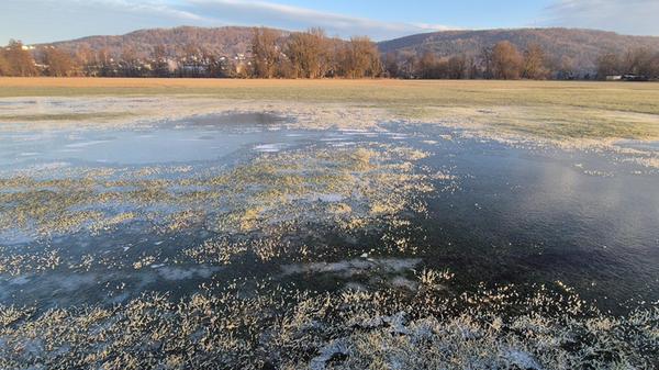 Eisflächen auf den Pegnitzwiesen.