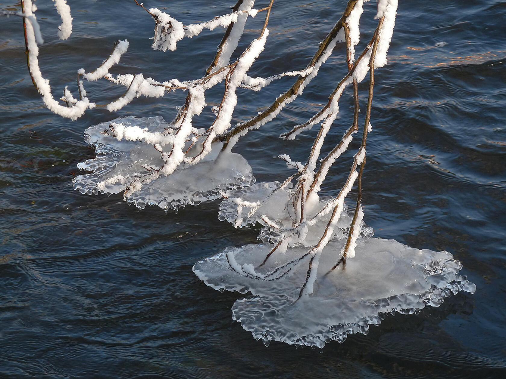 Eiskunst in der Pegnitz bei Hohenstadt.
