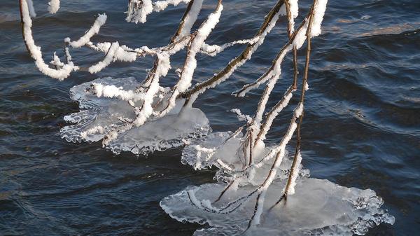 Eiskunst in der Pegnitz bei Hohenstadt.