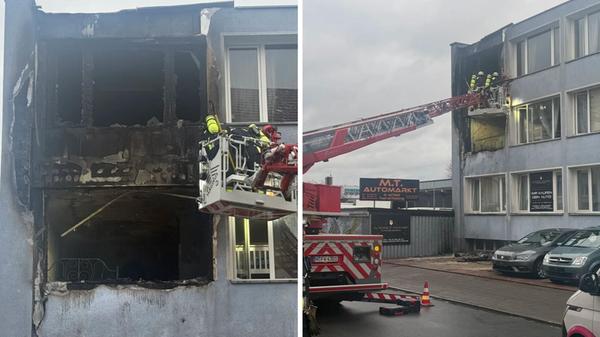 2025-01-23_12-48_collage