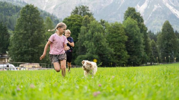 Happy girl and boy running with golden doodle dog