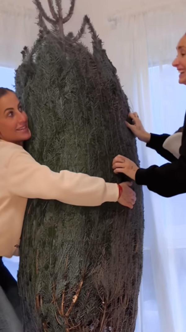 Screenshot 2025-01-25 204907