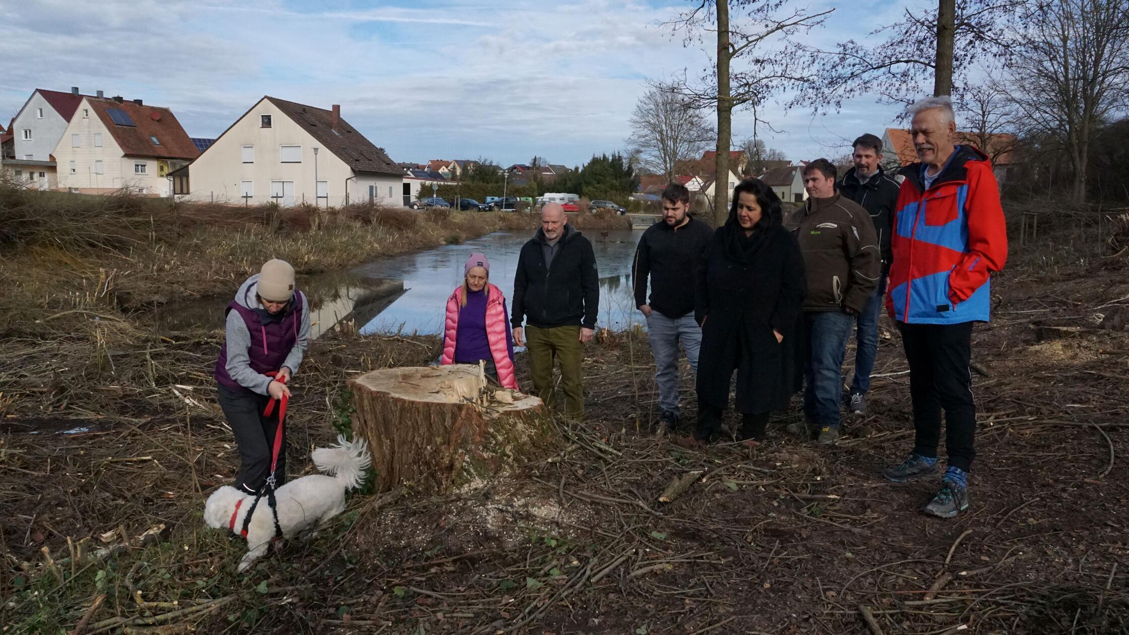 Bäume gefällt, Weiher Mitteleschenbach