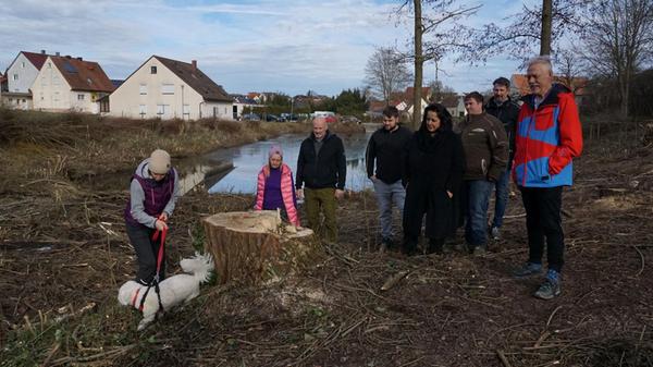 Bäume gefällt, Weiher Mitteleschenbach