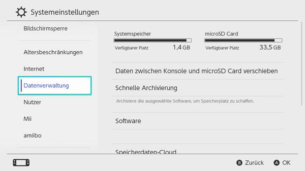 Nintendo_Switch_Speicher_microSD_Einstellungen