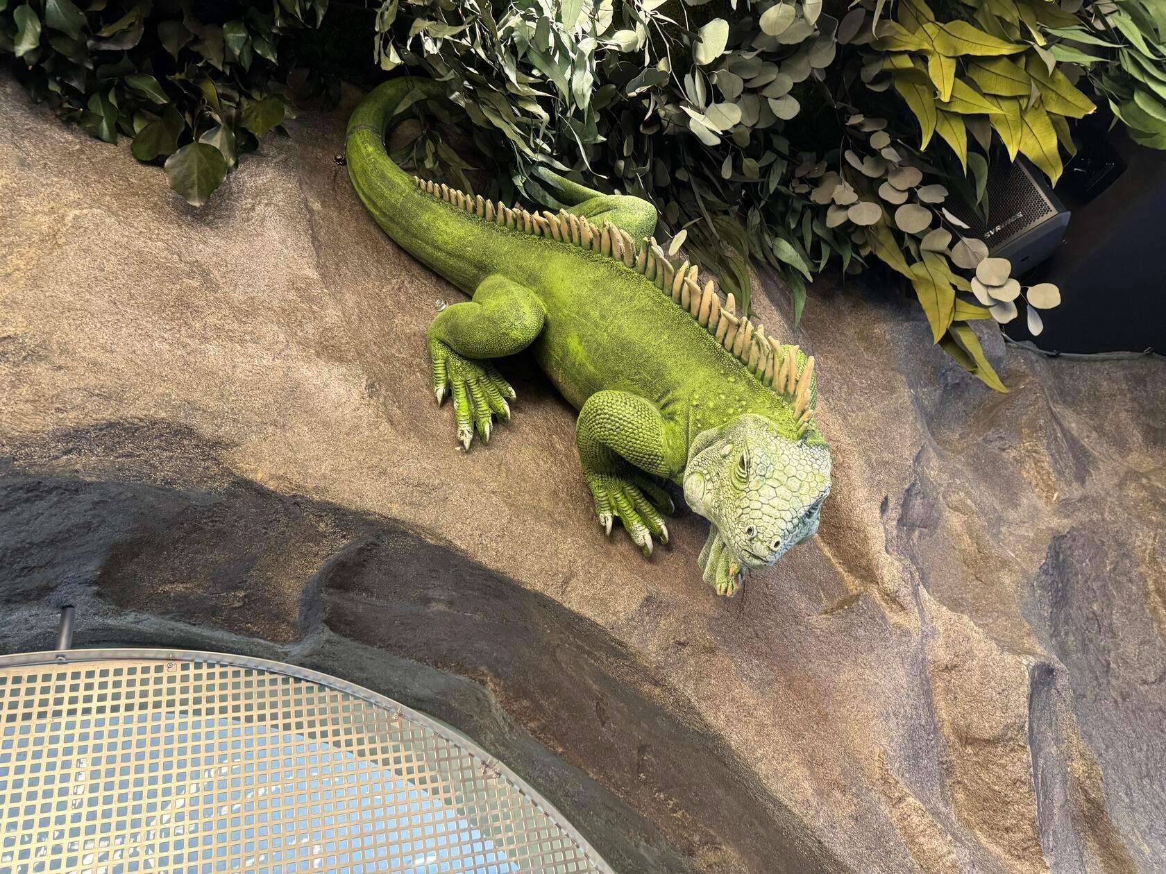 Und auch auf der Steinwand hat schon so mancher Besucher Platz gefunden.