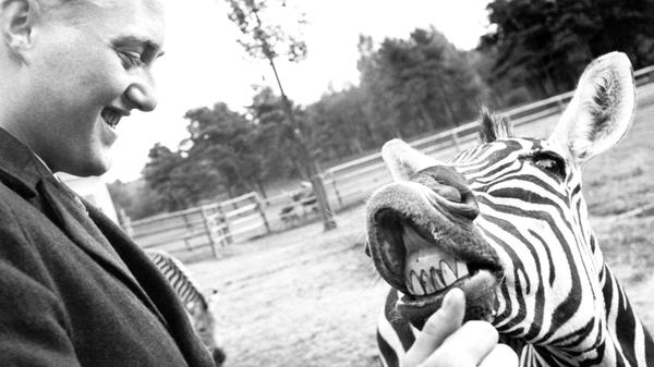 Freude und Zuversicht in schweren Zeiten zu schenken, war das Ziel der „Herzenswunsch-Aktion“ der Zeitschrift „Wochenend“. So wurde für den fast vollständig erblindeten 22-jährigen Peter Maul im Jahr 1954 ein lang gehegter Wunsch Wirklichkeit. Er gewann eine sechstägige Reise nach Nürnberg, inklusive betreuter Stadtführung und Besuch im Opern- und Schauspielhaus. Ein Highlight war für ihn sein allererster Ausflug in den Tiergarten, bei dem er einige Tiere aus nächster Nähe erleben durfte. Besonders angetan war er von einem Zebra, das sich ihm - wohl wegen des Zwiebacks in seiner Tasche - neugierig näherte.