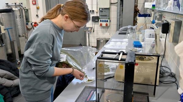 Bier brauen an der FAU (Bild: FAU/Harald Sippel)