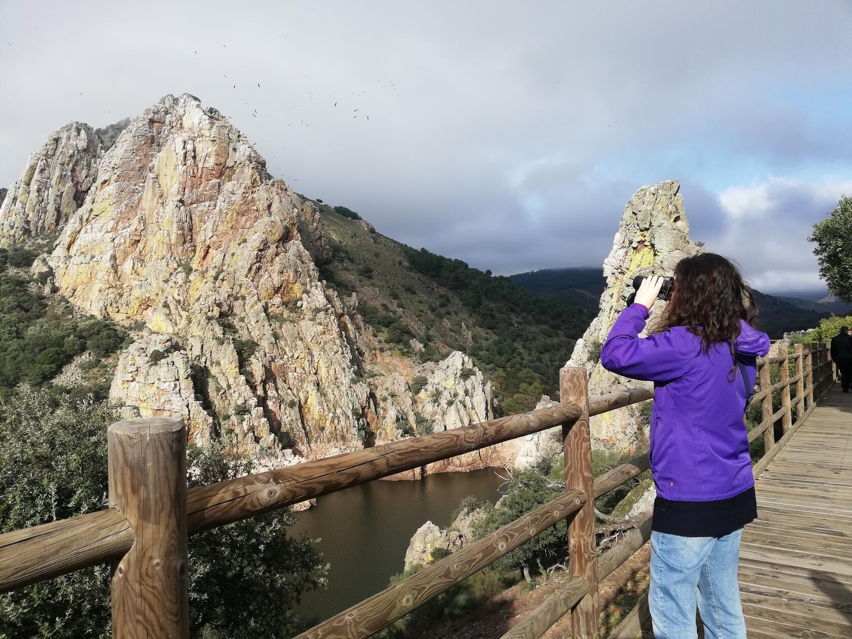 Hier gibt es seltene Vogelarten zu beobachten, zum Beispiel Mönchsgeier und Gänsegeier am Aussichtspunkt "Salto del Gitano"